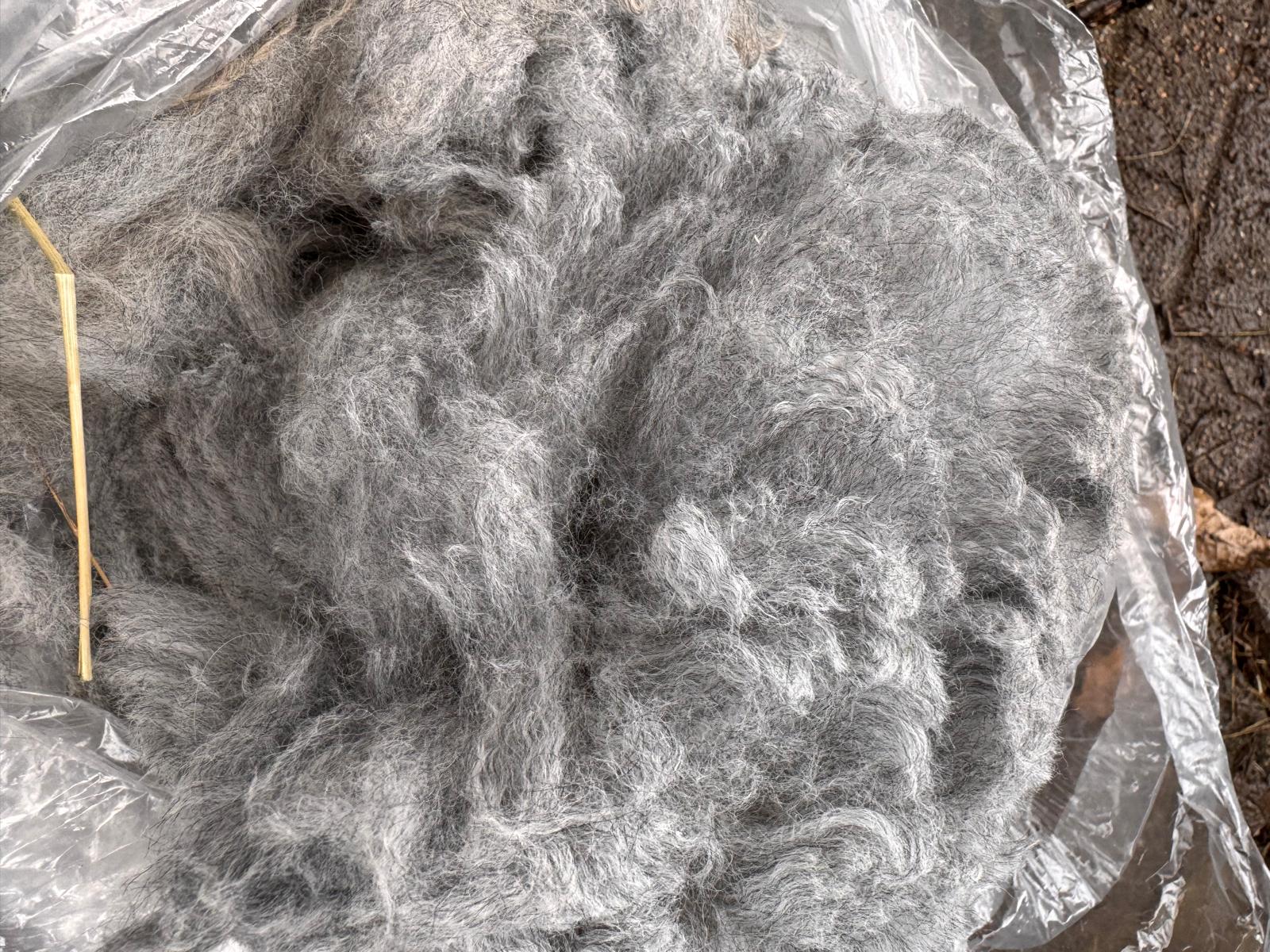 Close-up of freshly shorn grey alpaca fleece from the Hensting herd