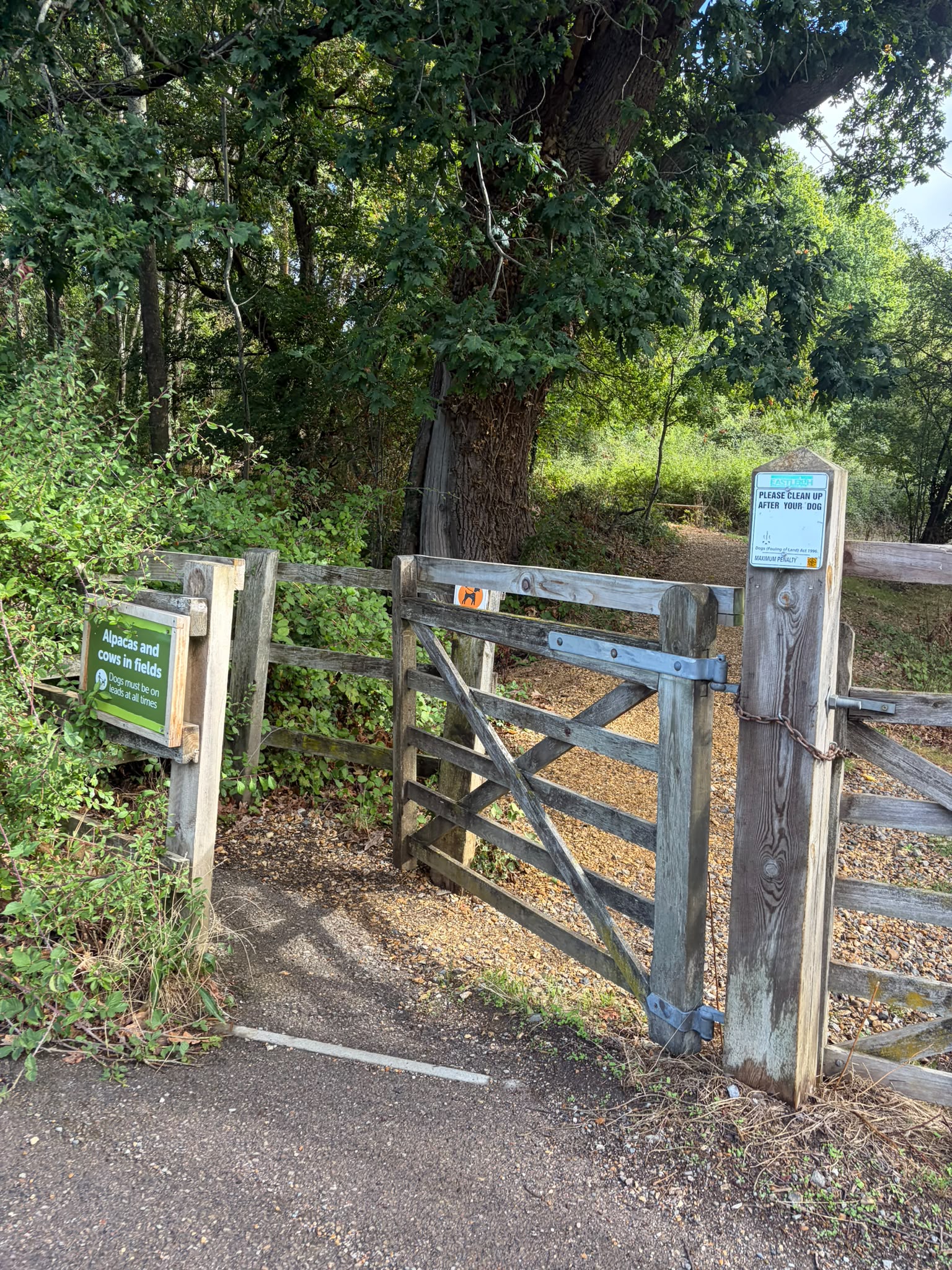 Wooden field gate along the walking route