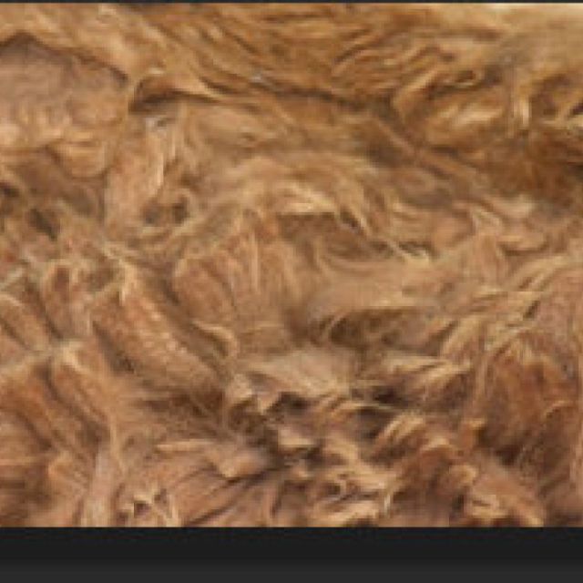Cria Baby Alpaca Fleece