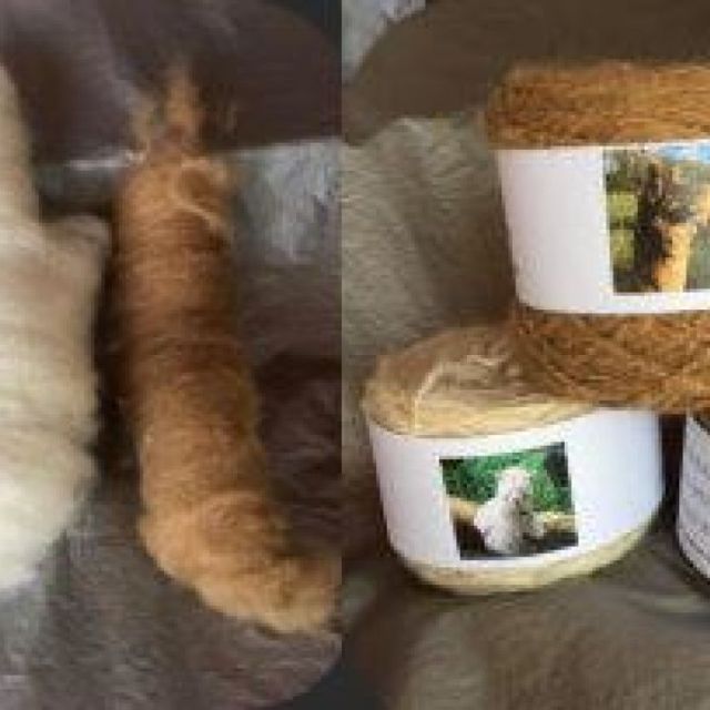 Hensting Alpaca Wool