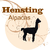Hensting Alpacas